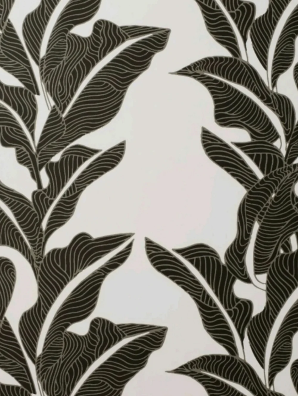 NWT 2 Opalhouse Jungalow Wallpaper Rolls Botanical Leaf Peel & Stick Black White
